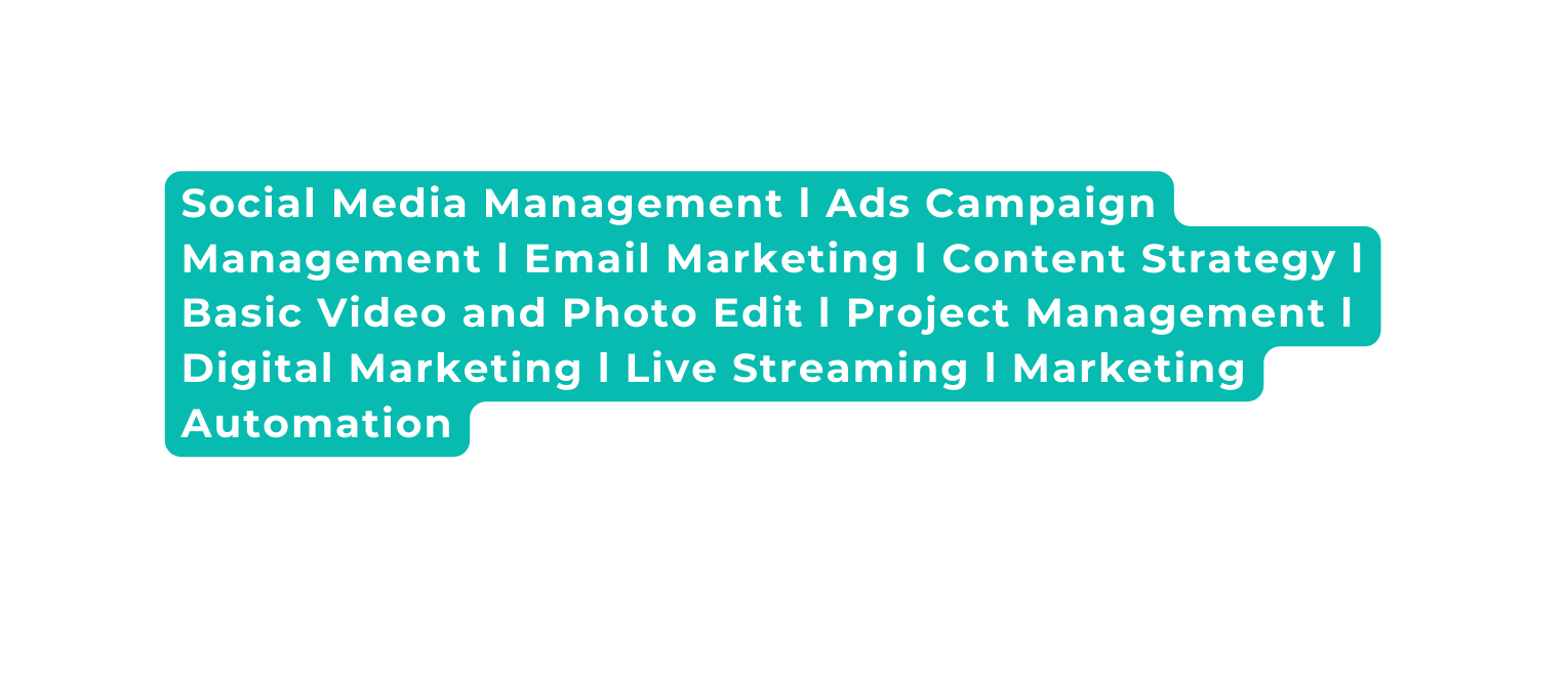 Social Media Management l Ads Campaign Management l Email Marketing l Content Strategy l Basic Video and Photo Edit l Project Management l Digital Marketing l Live Streaming l Marketing Automation